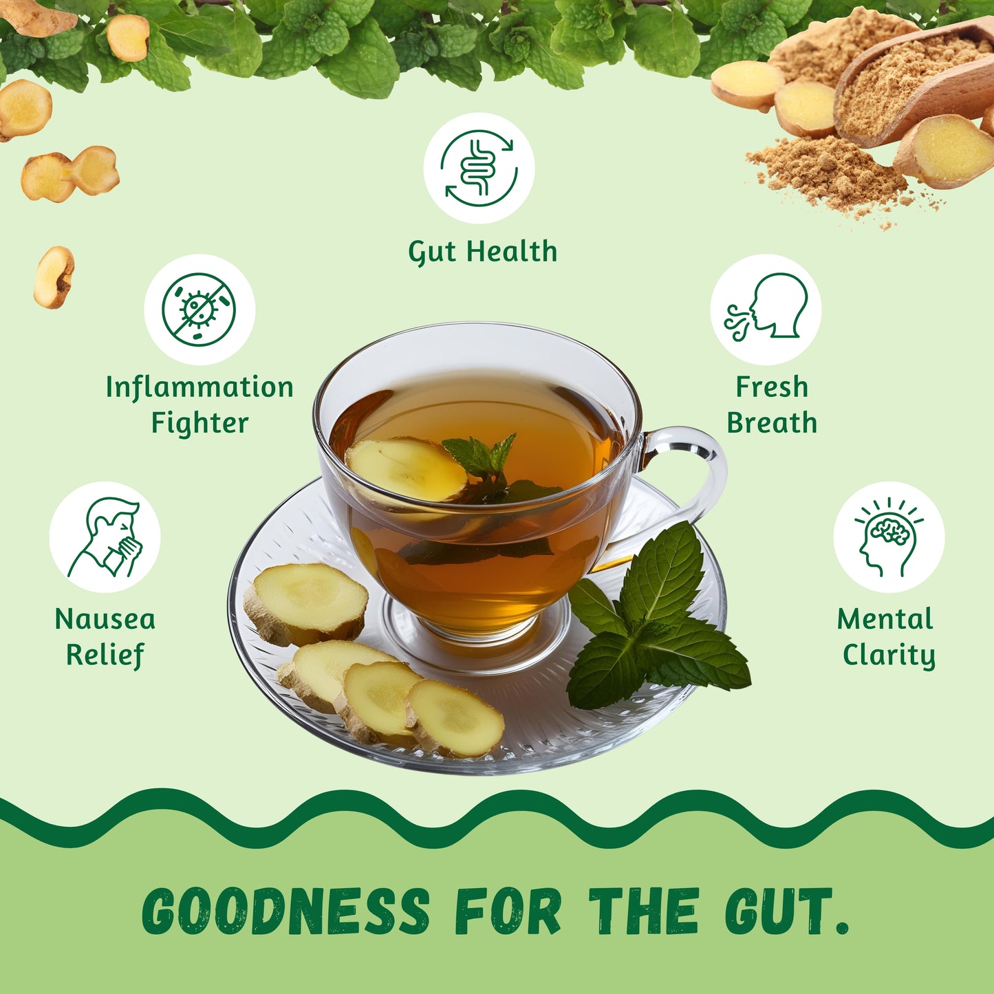 Avocado Tea™ - Ginger Spearmint